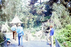 Jeff Imes; Disney Land